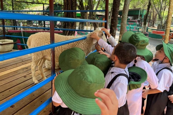 Hoạt động ngoài trời