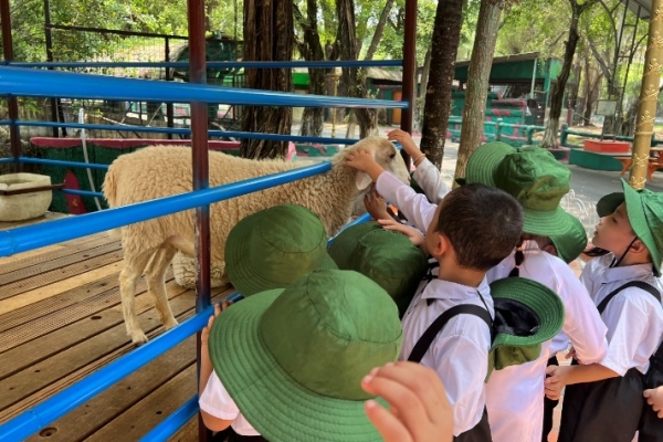 Tham quan dã ngoại Đại Nam Park