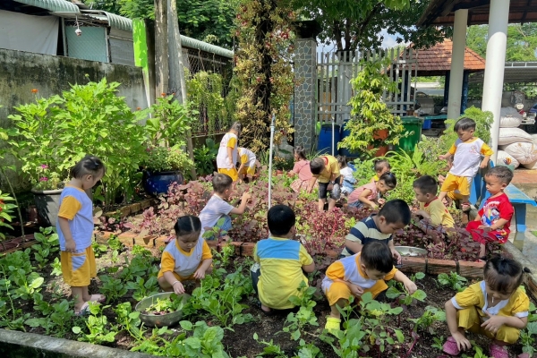 Vườn rau sân trường