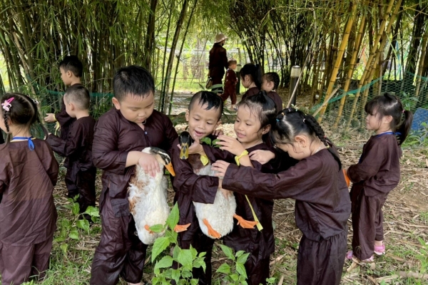 Hoạt động trải nghiệm