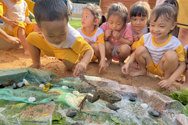 Khám phá thế giới động vật